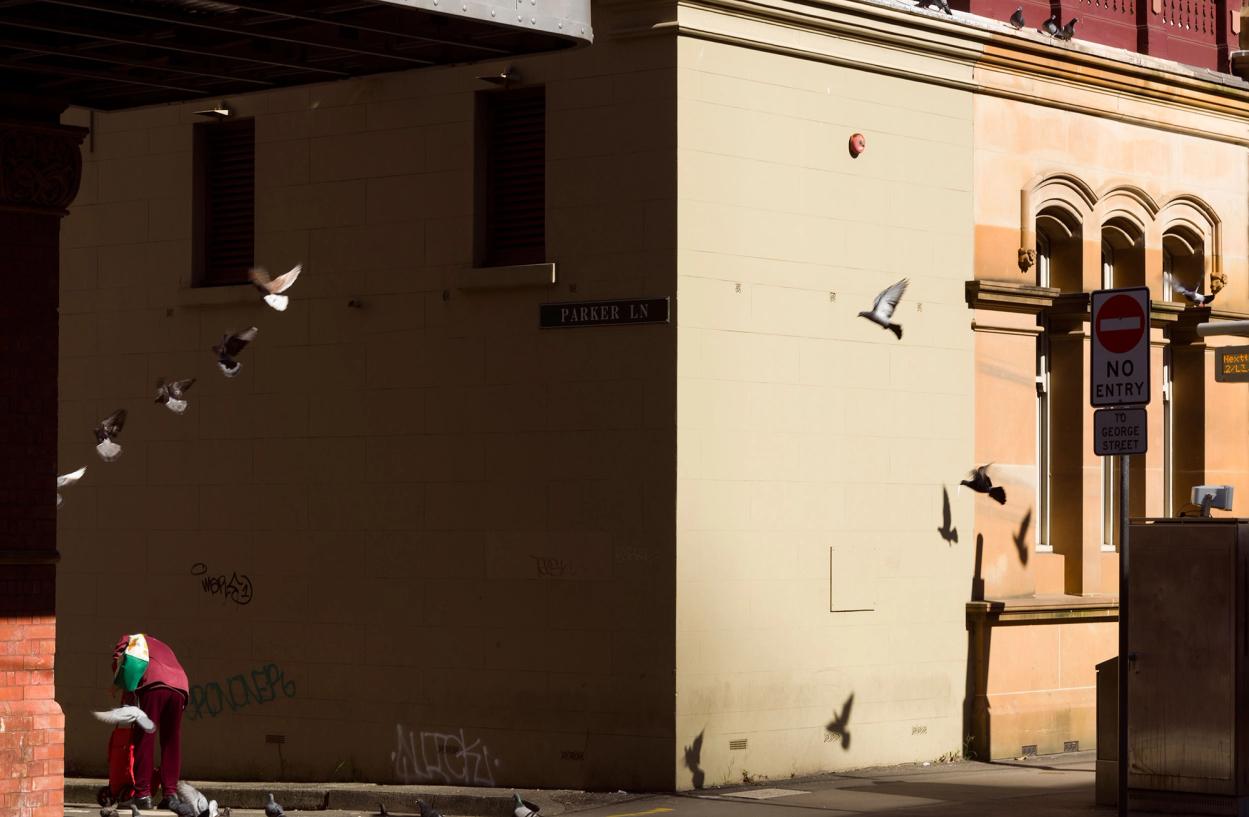 A flock of pigeons fly next to a sandstone building