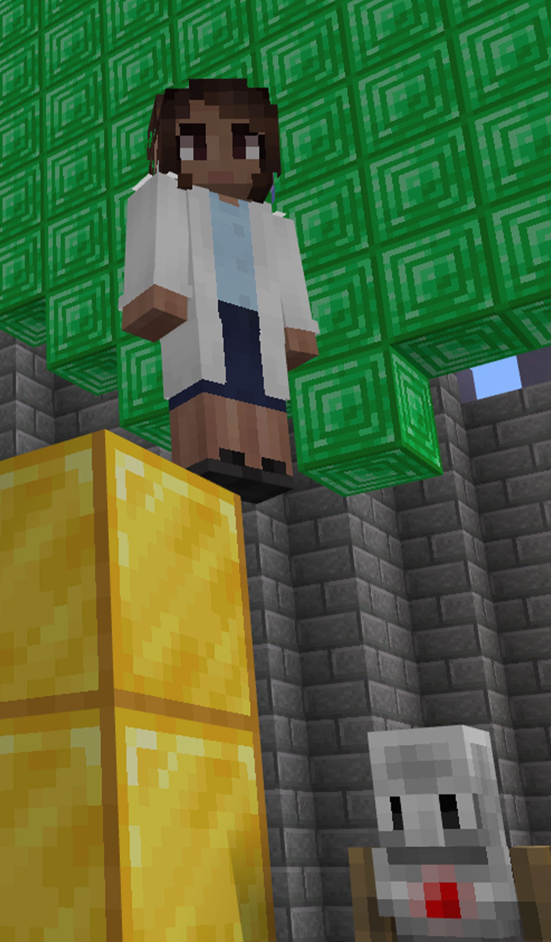 Python Coding with Minecraft