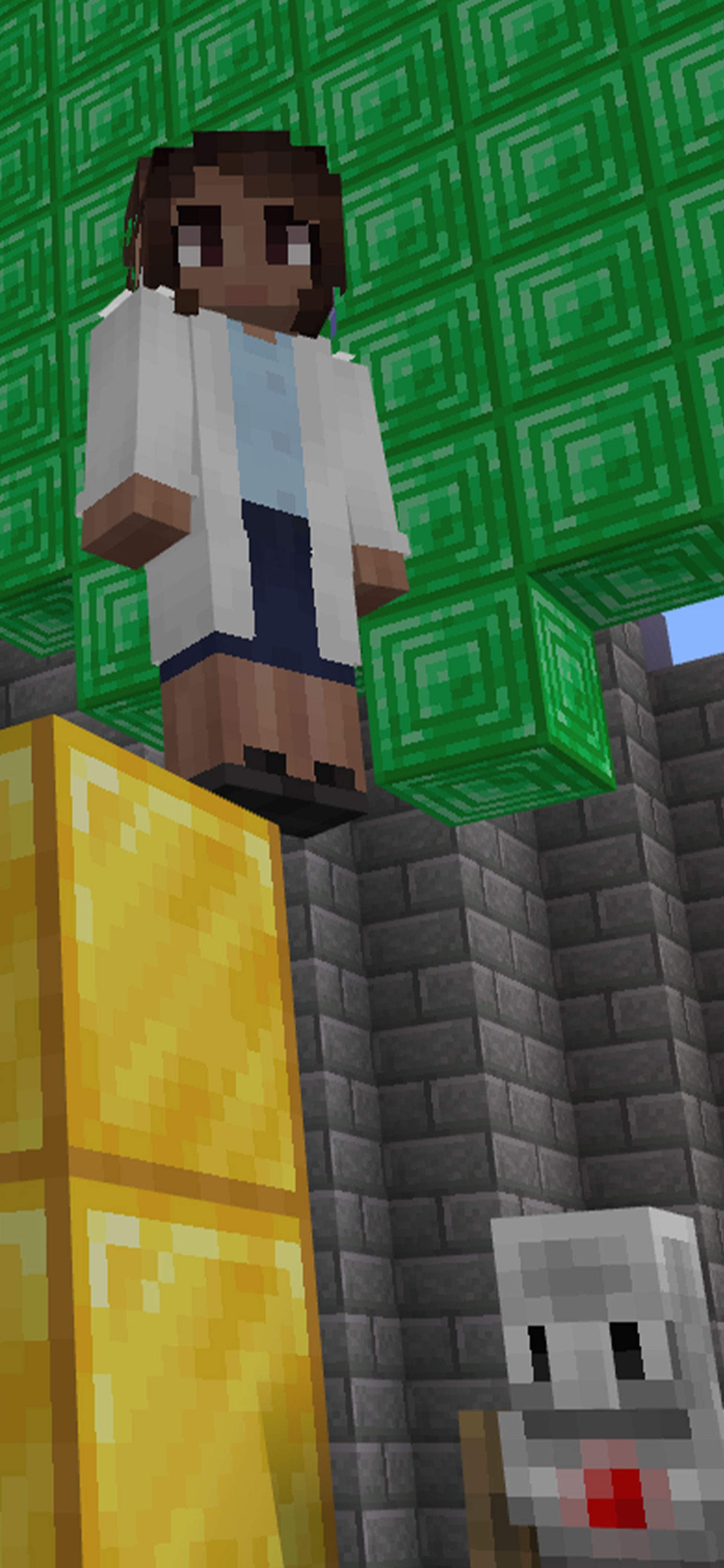 Python Coding with Minecraft