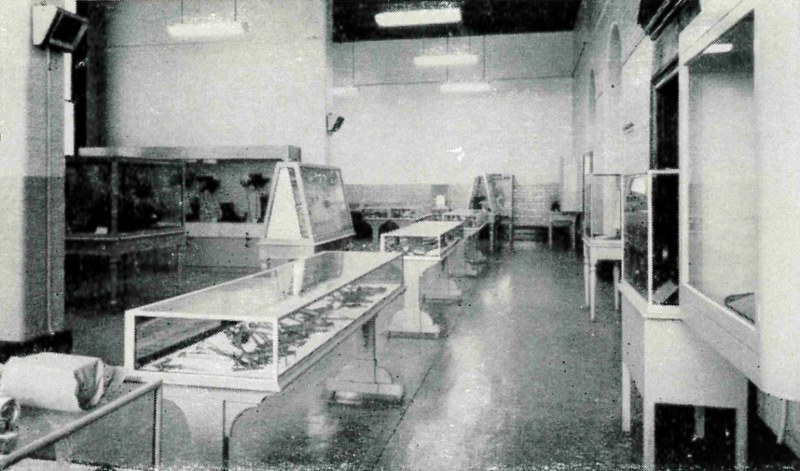 Black and white photograph of museum display with fluorescent lighting