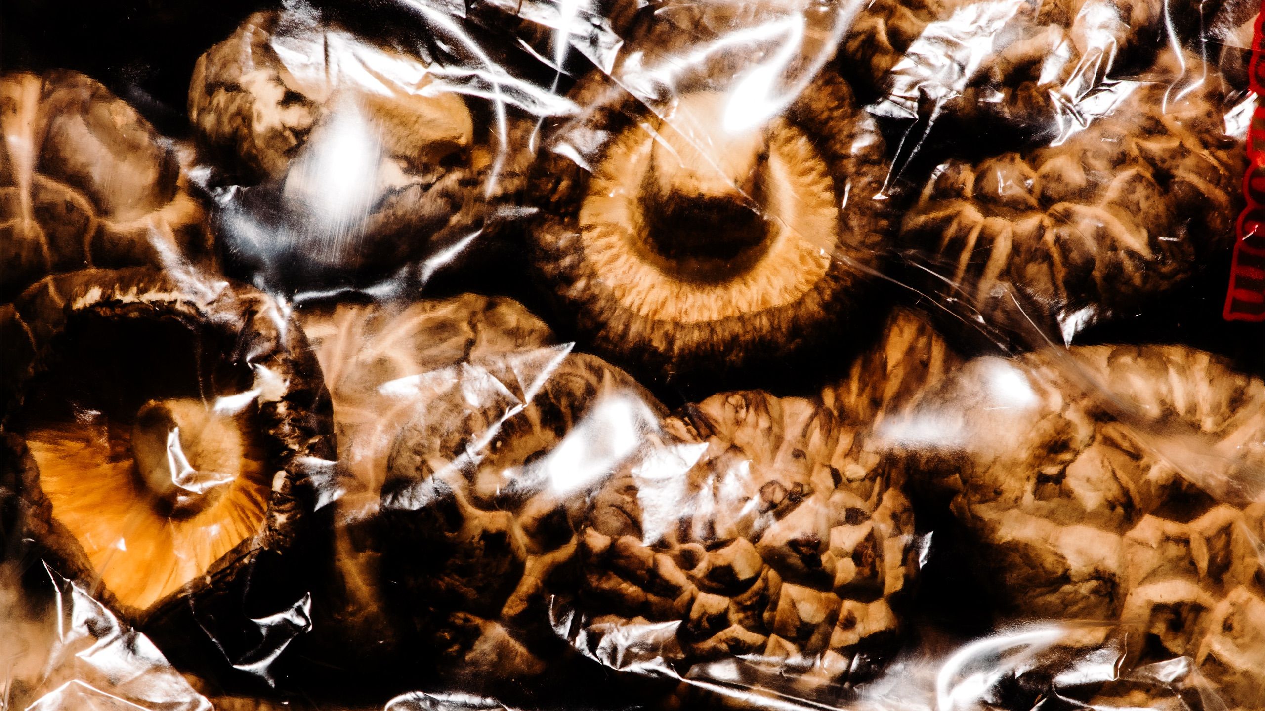 Shitake Mushrooms in a bag.