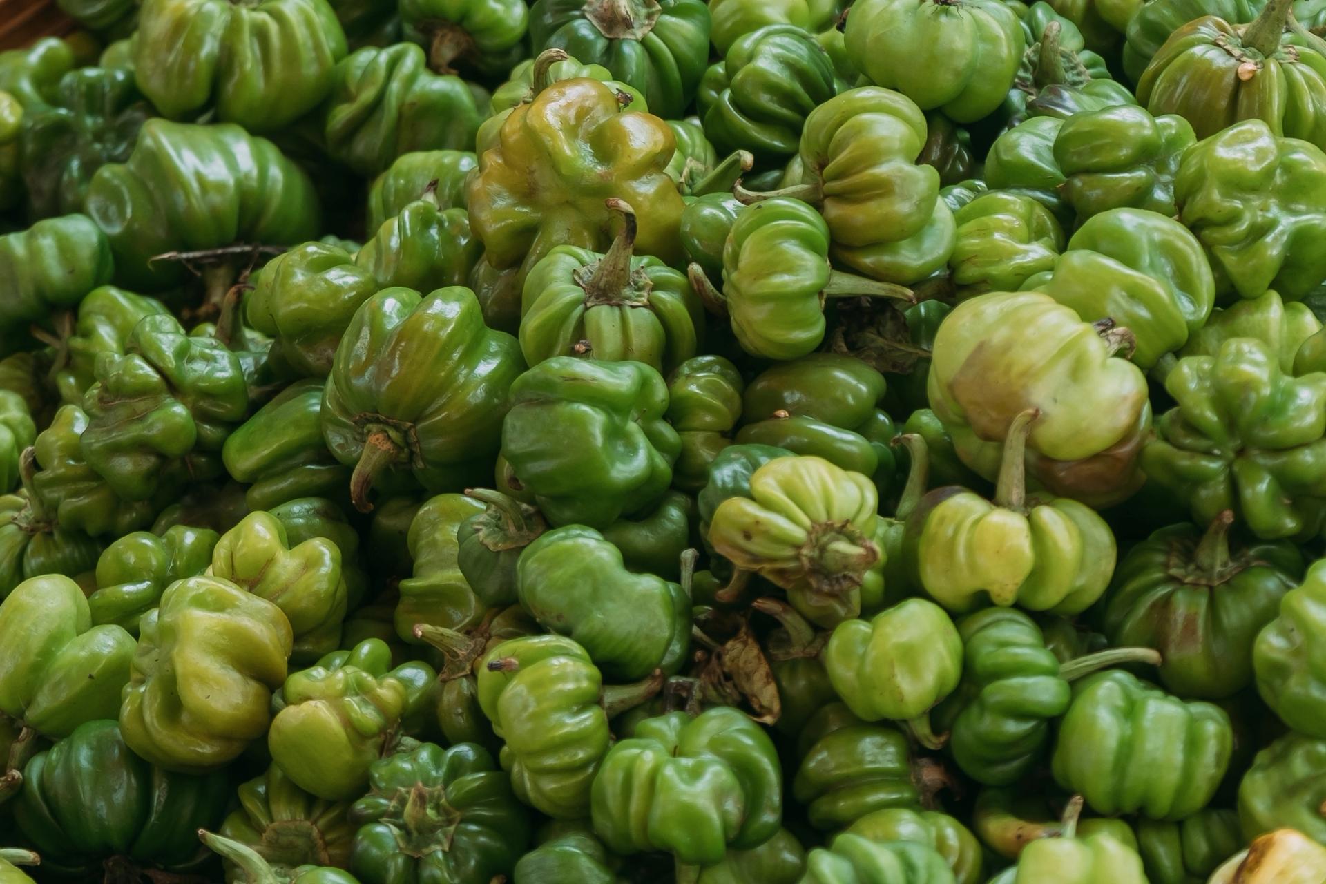 Green capsicums