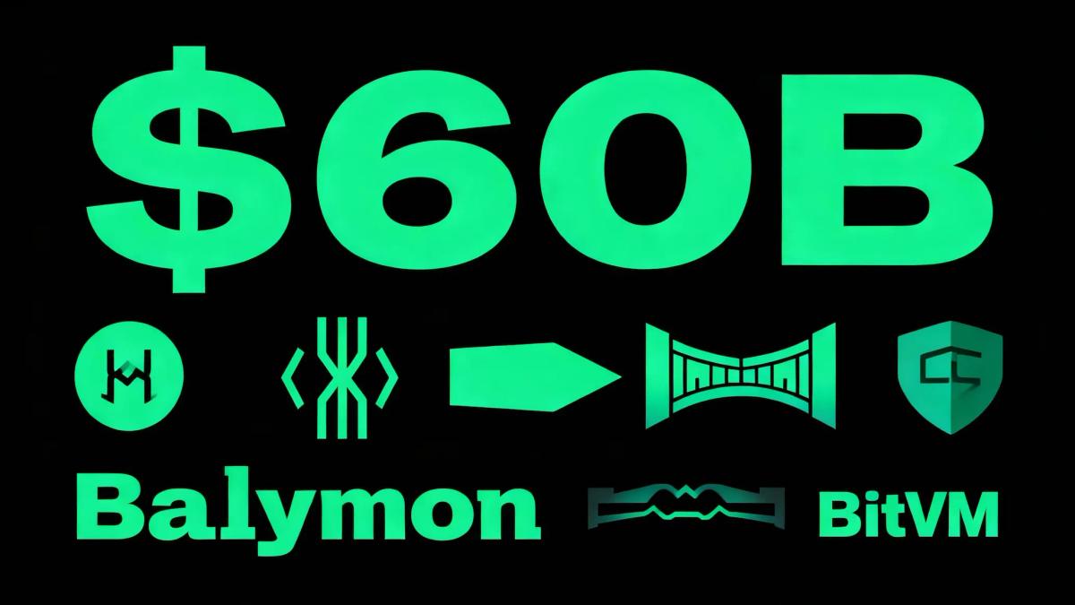 Section 2 illustration