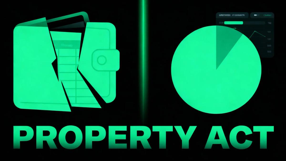 Portfolio_S1_Wallet_Truth