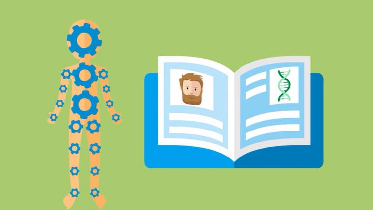 Illustration showing genomics as an instruction manual for how a person is made.