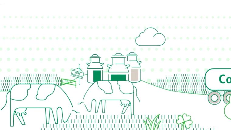 Illustration of dairy cows on an Irish farm with milk churns ready for collection.