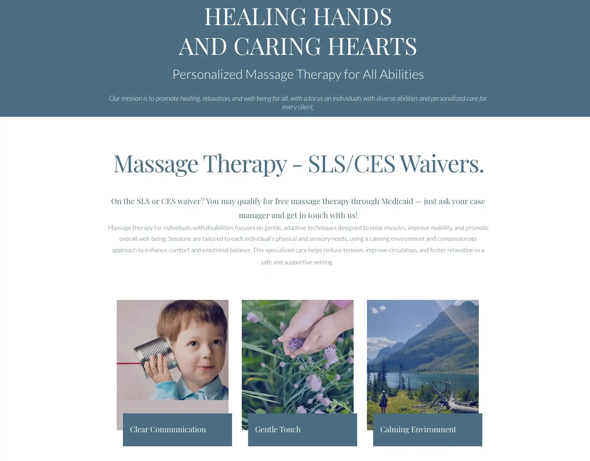 Alegra Agency website