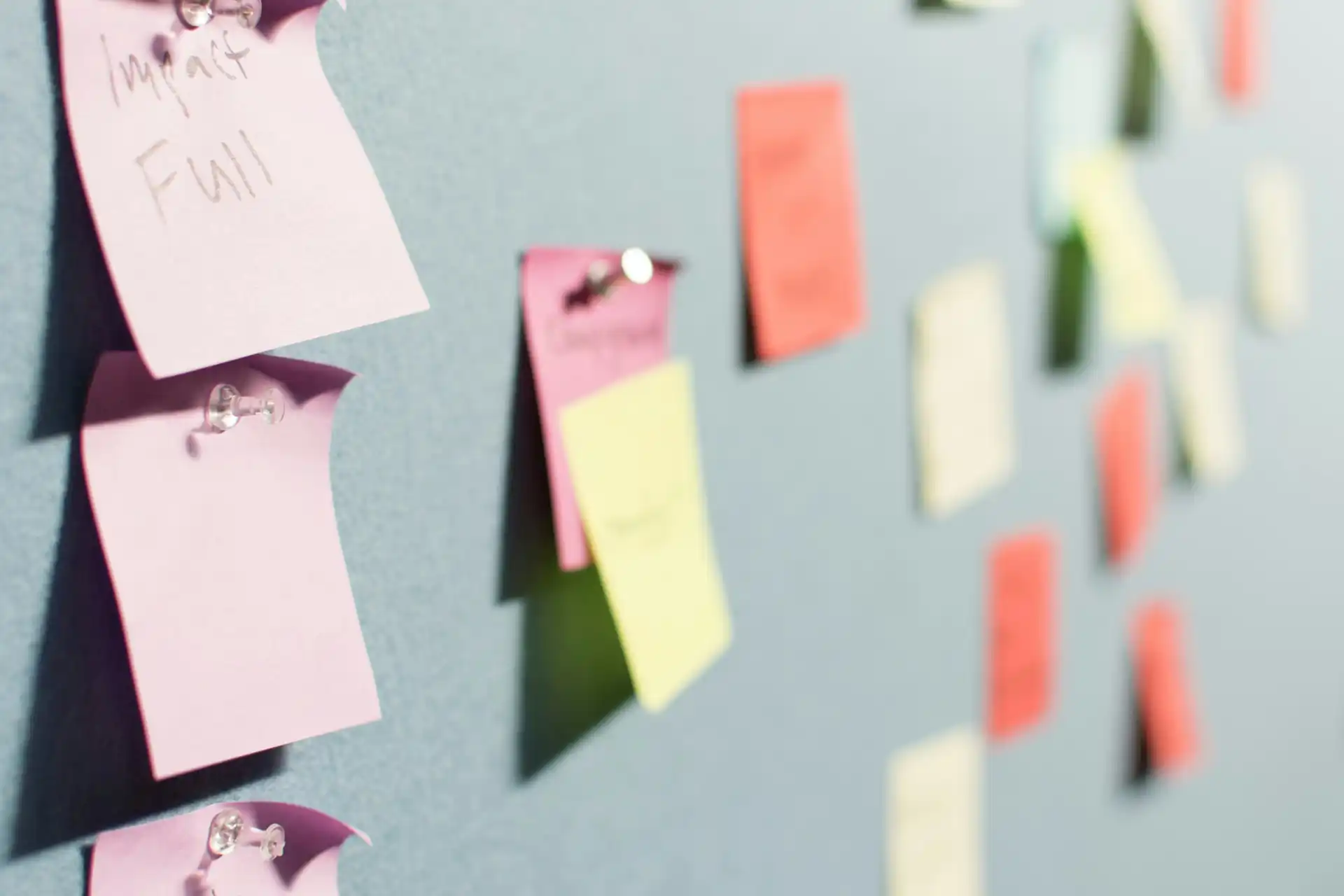 Project Management