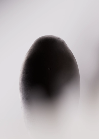 © ProtoÉditions 2025