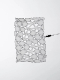 © ProtoÉditions 2025