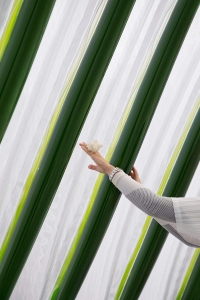 © ProtoÉditions 2025