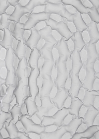 © ProtoÉditions 2025