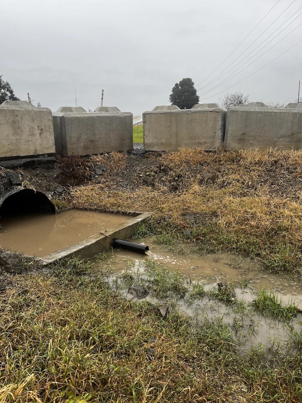 A culvert discharging muddy water beside concrete barriers.