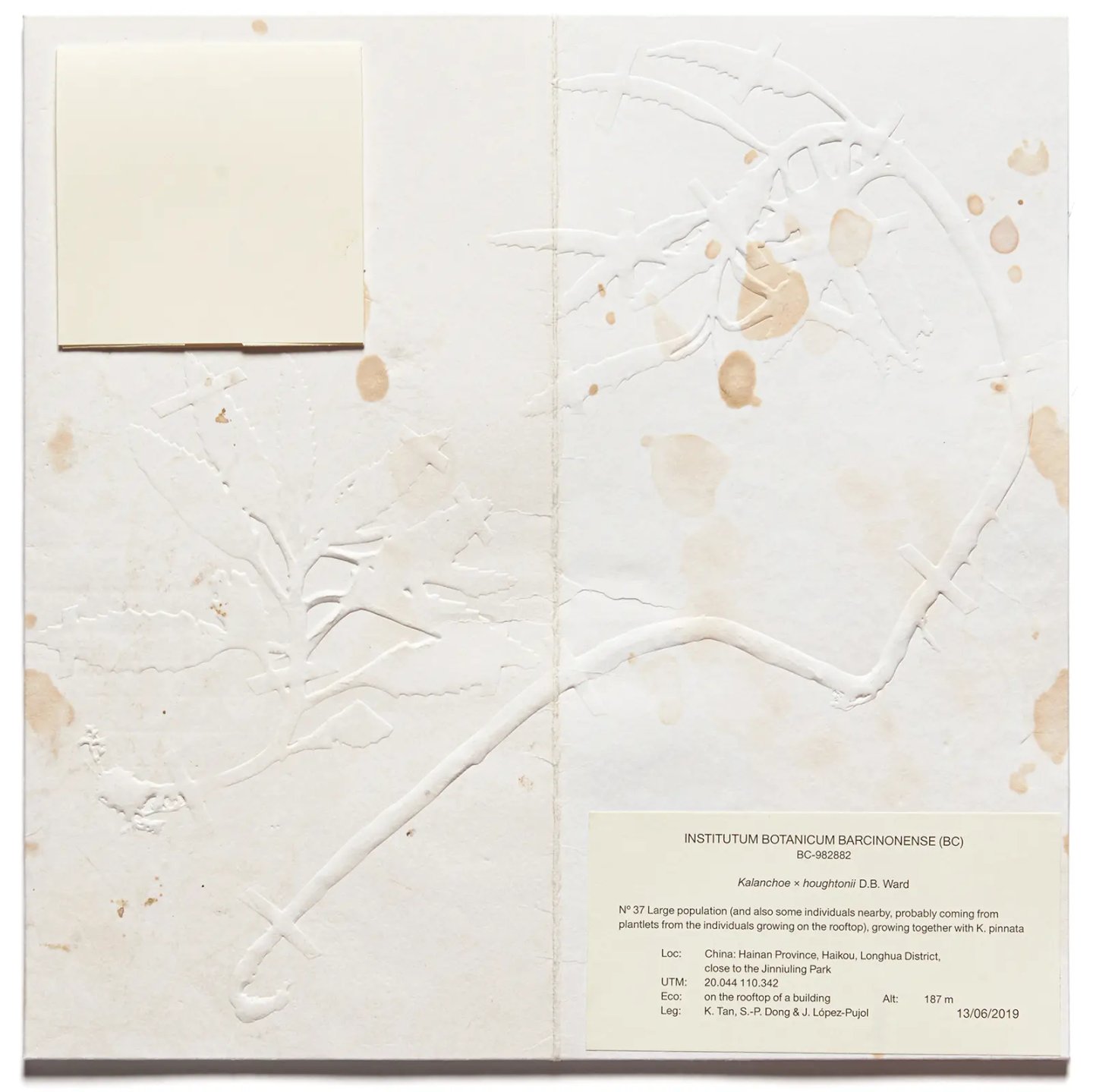 Studiopol-UiM_008-The_Devil_Probably-Cover-3