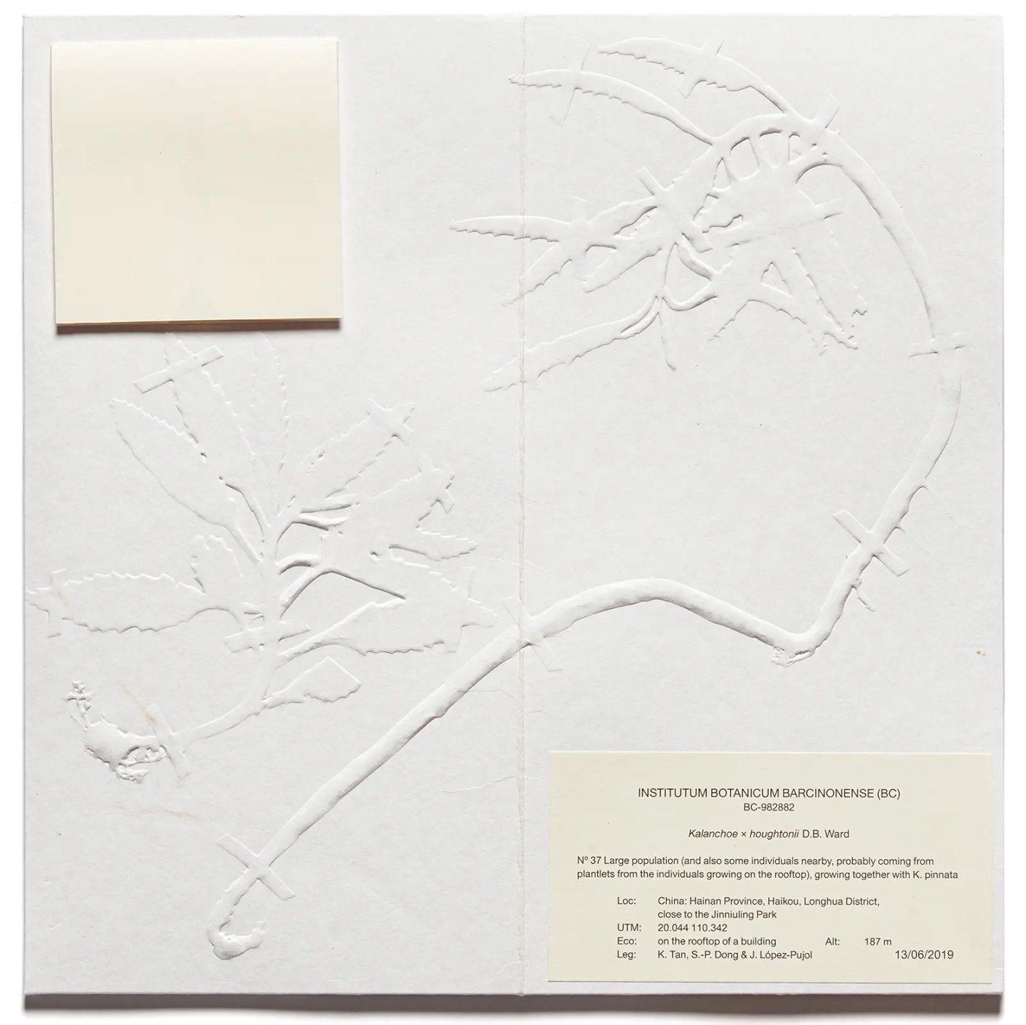 Studiopol-UiM_008-The_Devil_Probably-Cover-2