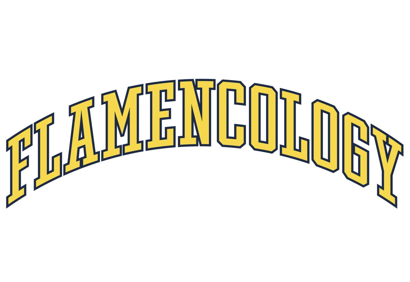 Studiopol-Flamencology-T_shirt