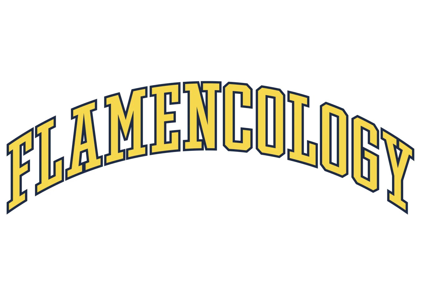 Studiopol-Flamencology-T_shirt