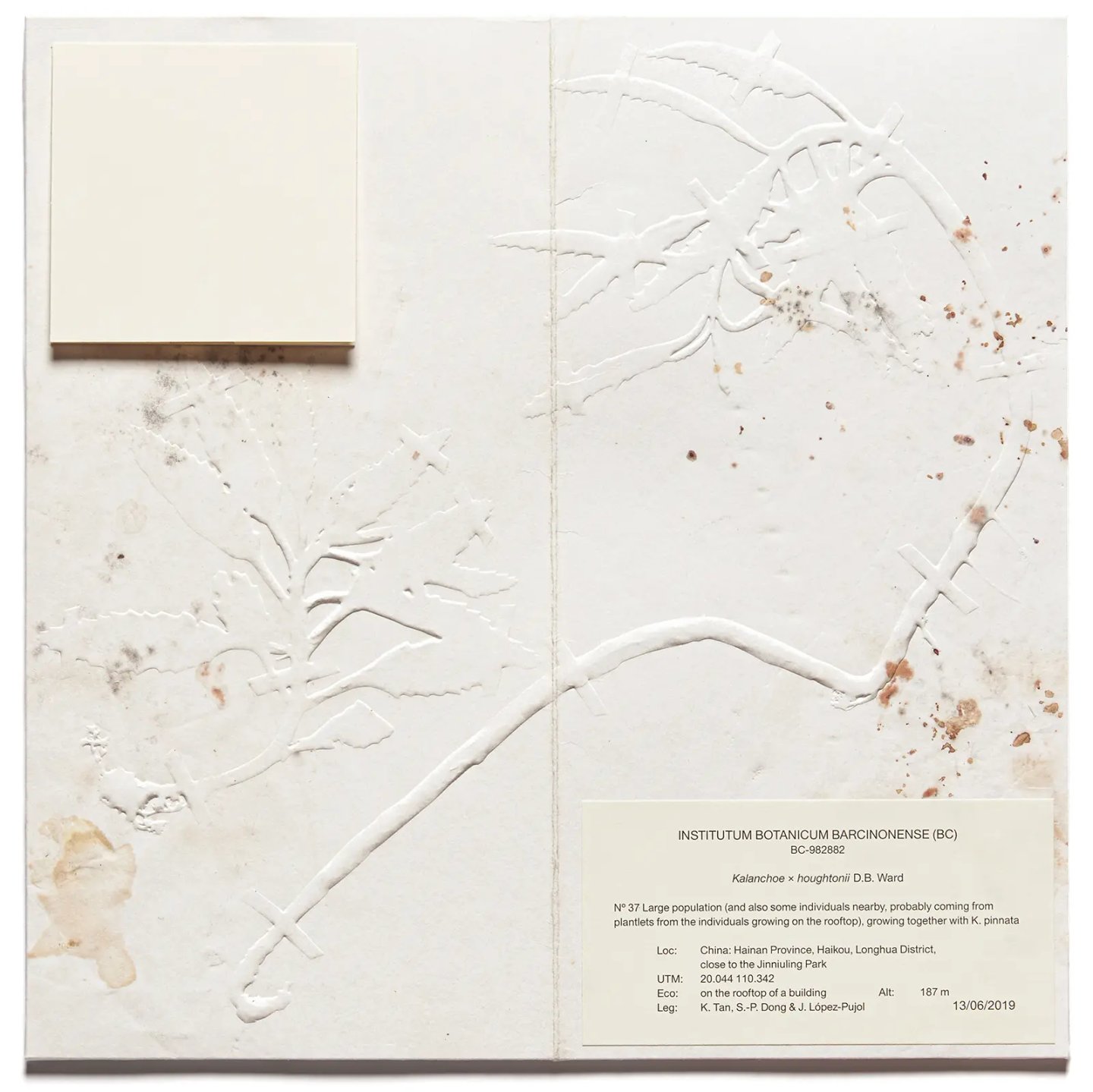 Studiopol-UiM_008-The_Devil_Probably-Cover-1