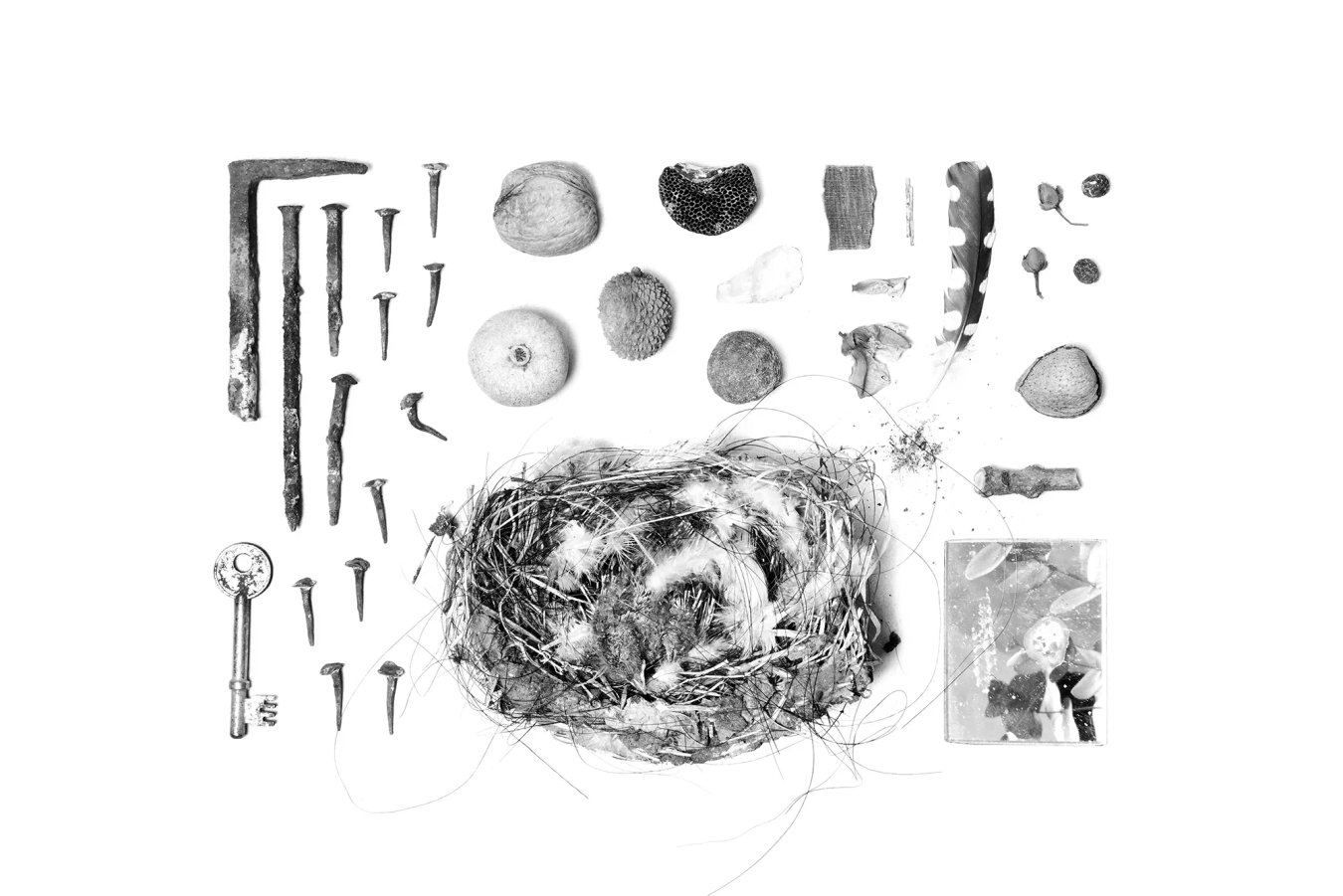 Studiopol-UiM_004-Ubaldo-Casa-Assets-1