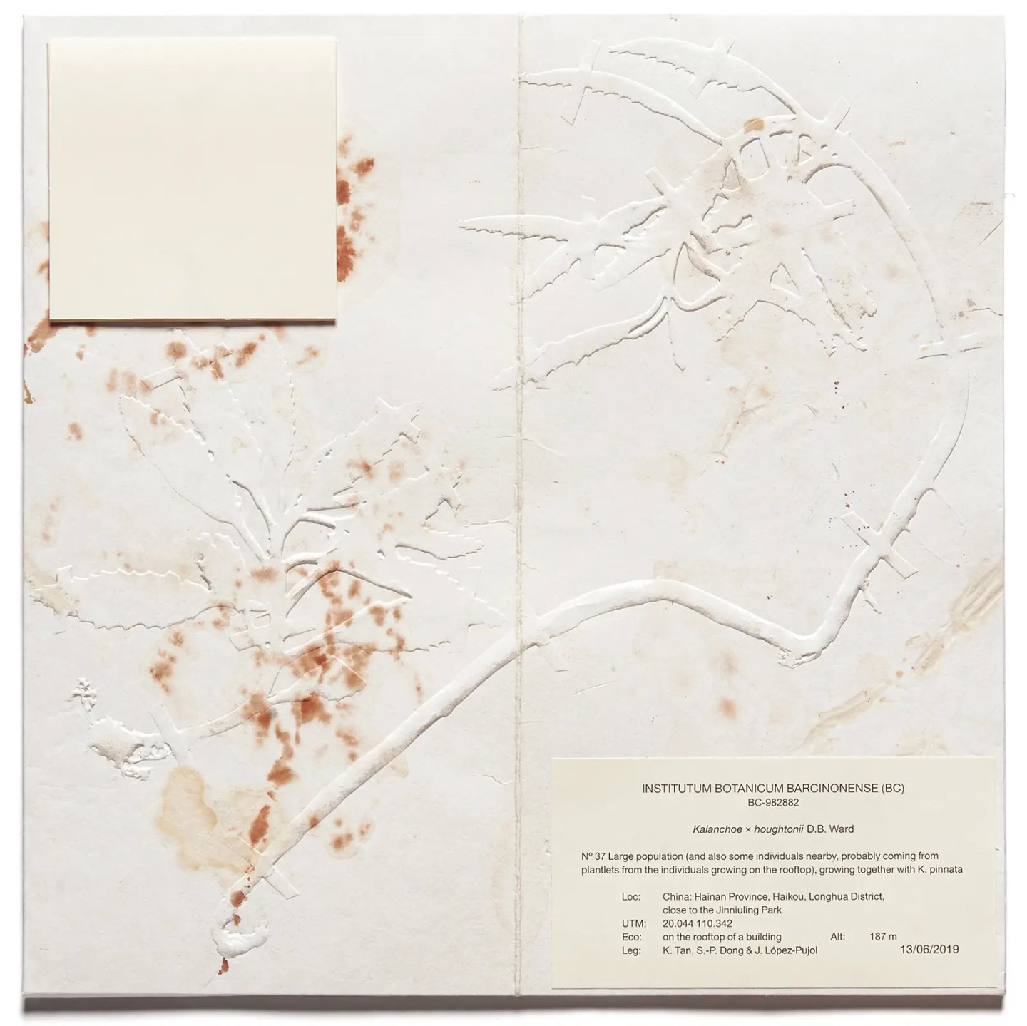 Studiopol-UiM_008-The_Devil_Probably-Cover-5