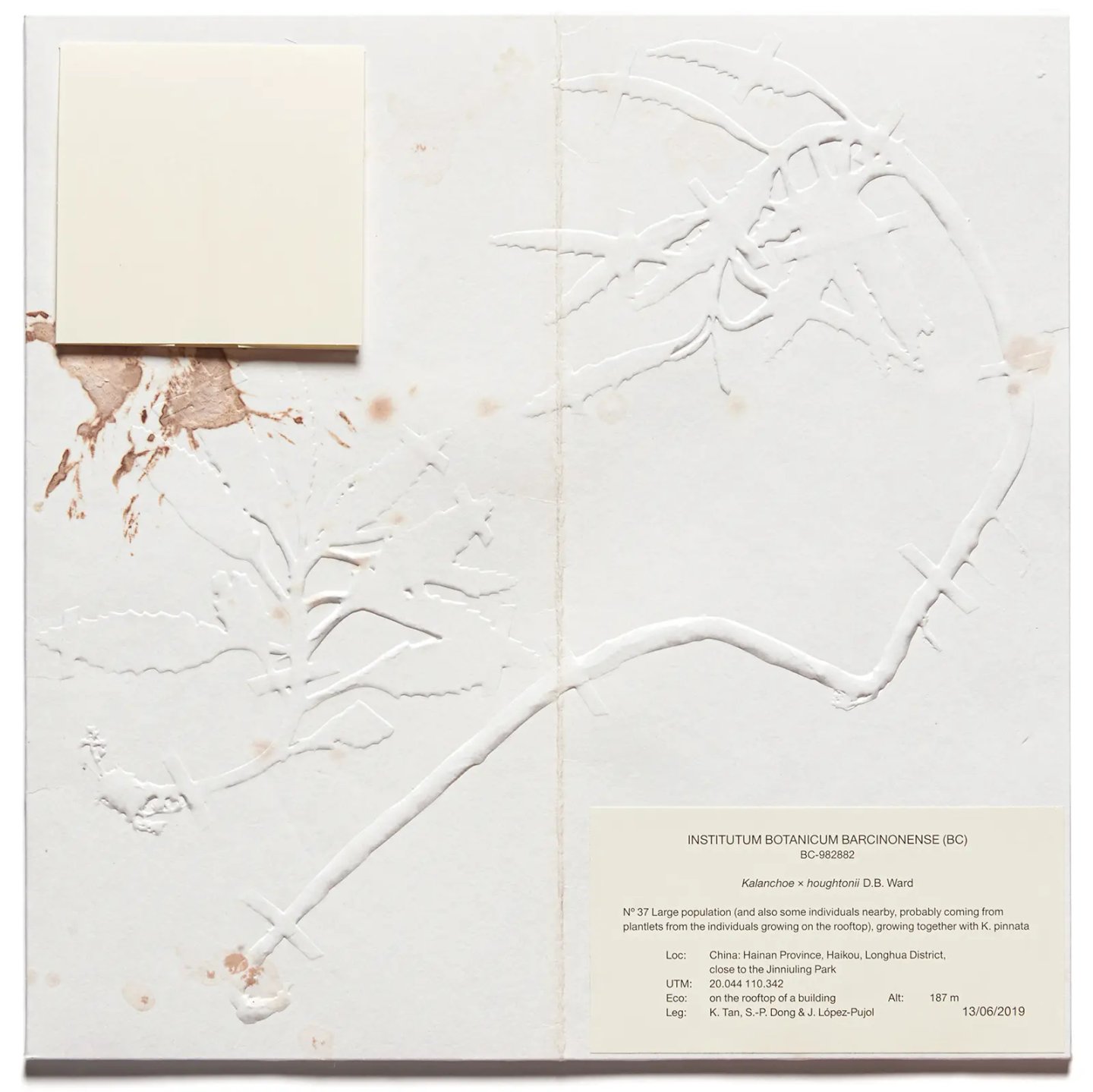 Studiopol-UiM_008-The_Devil_Probably-Cover-4