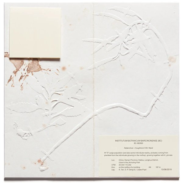 Studiopol-UiM_008-The_Devil_Probably-Cover-4