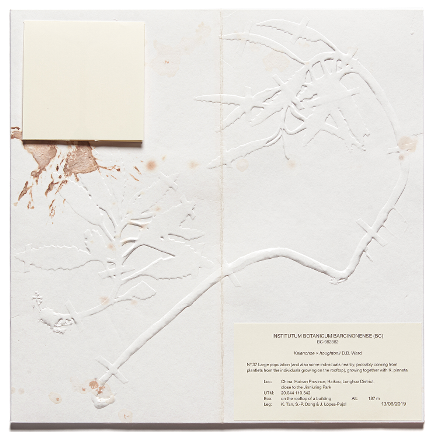 TDP_Cover_5_Retocs_A 1