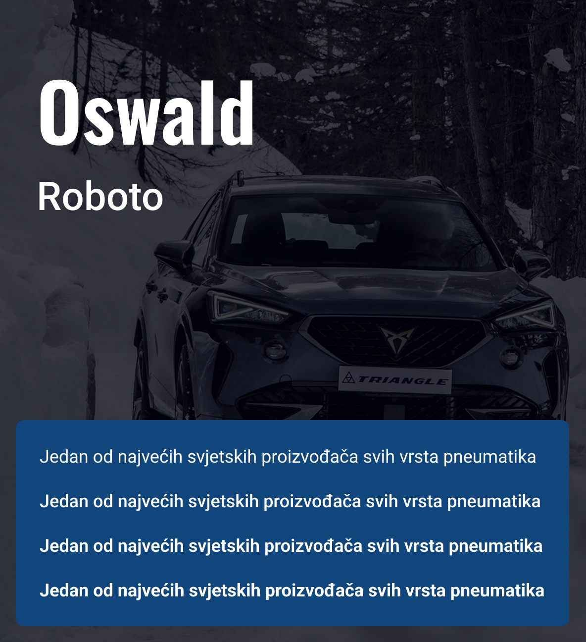 Font korišten na sajtu oswald i roboto sa primjerima