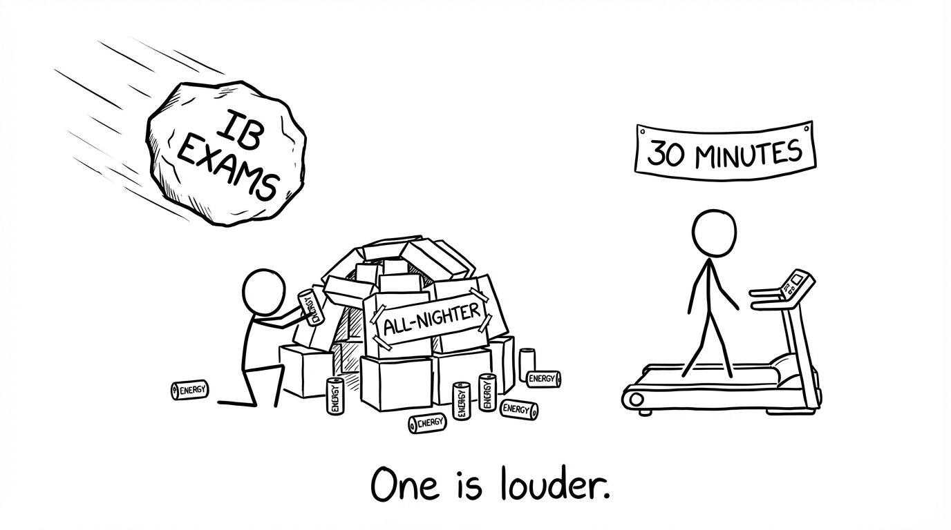 An IB exam calendar meteor approaches; two students respond differently