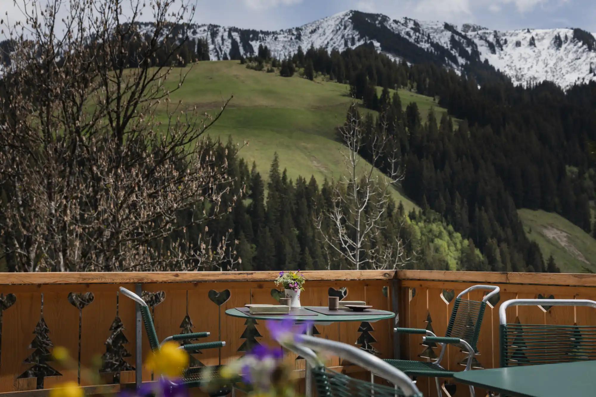 Terrasse Gasthotel zur Sau