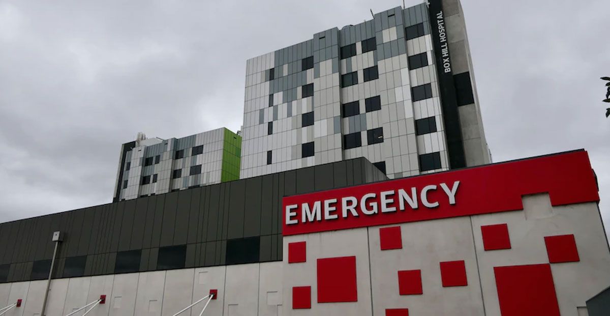 Box Hill Hospital, Box Hill project