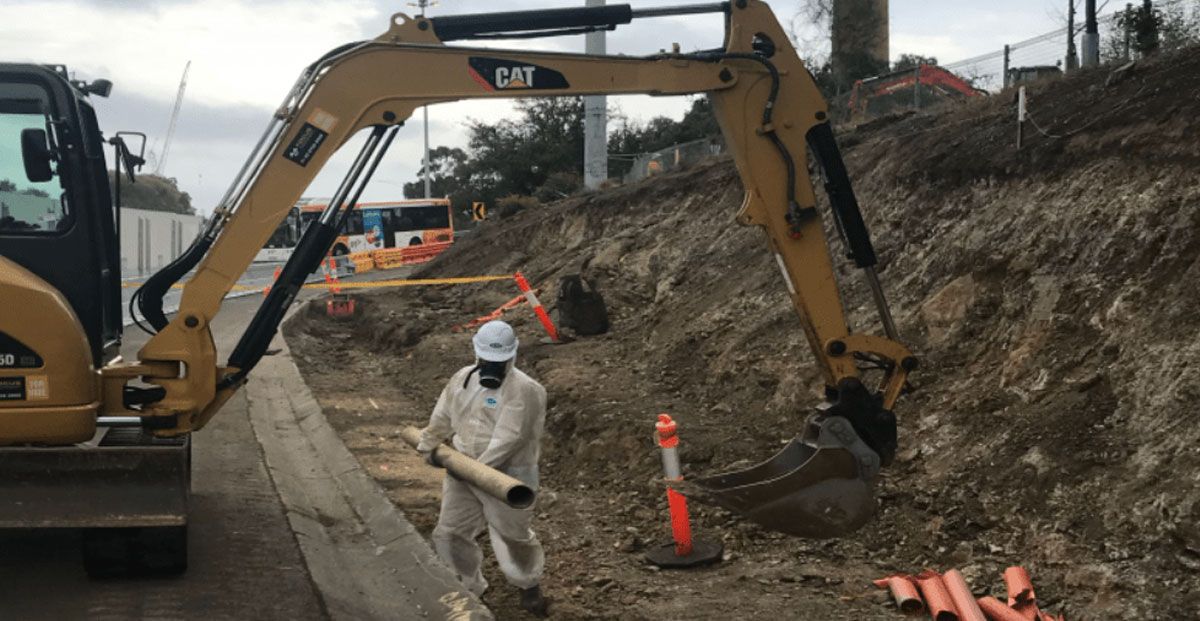 Hoddle Street Upgrade project