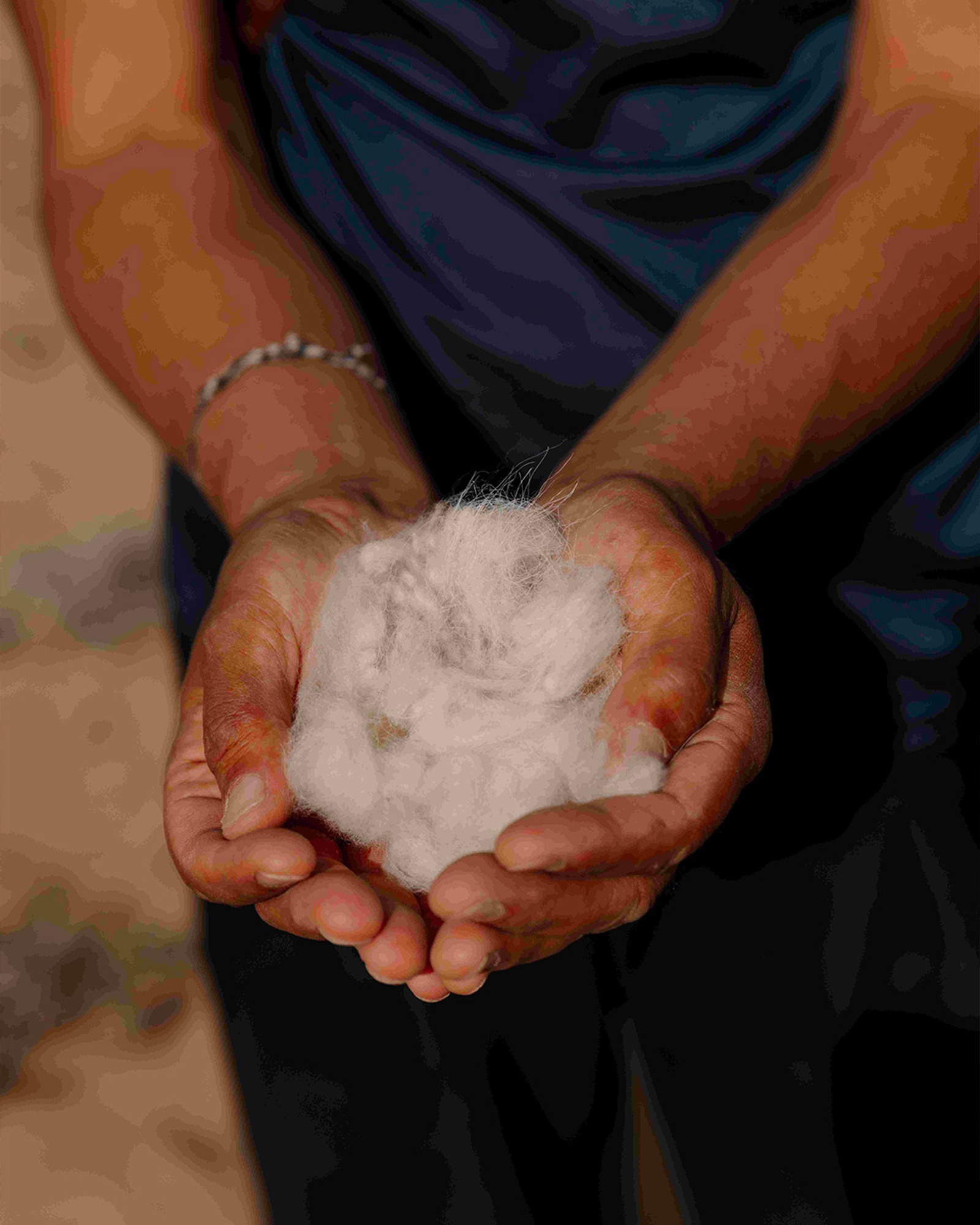 Piacenza 1733 arriva fino in Tibet per usare il migliore dei Cashmere