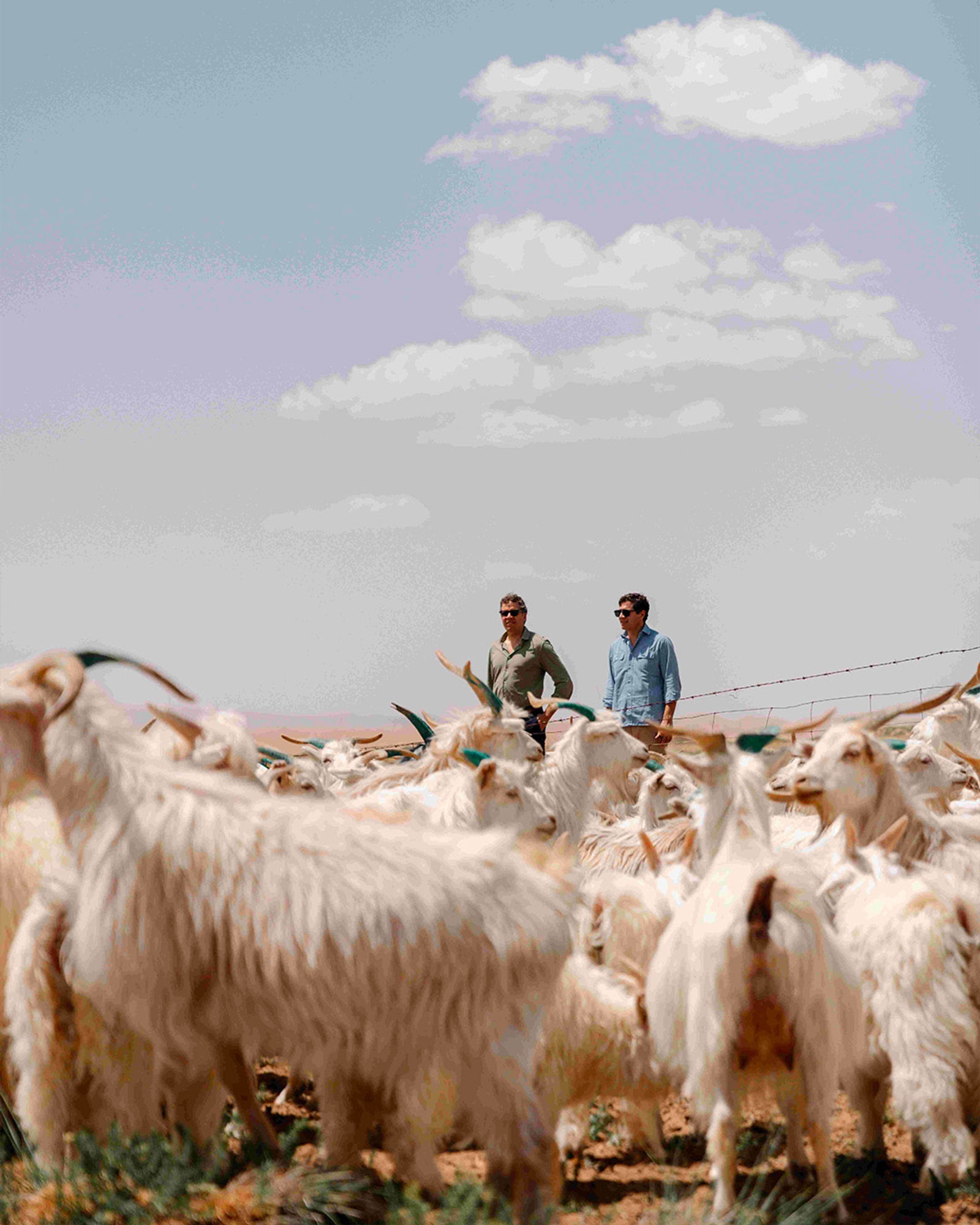 Piacenza 1733 arriva fino in Tibet per usare il migliore dei Cashmere