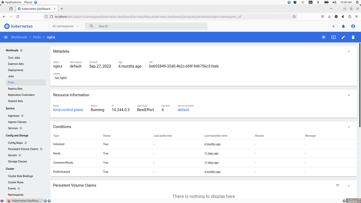 Kubernetes Dashboard displaying details of an Nginx pod, including metadata, resource information, status, conditions, restart count, IP address, QoS class, and persistent volume claims.