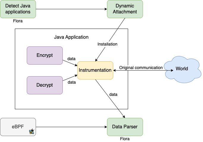 Automatic instrumentation process with eBPF and Flora