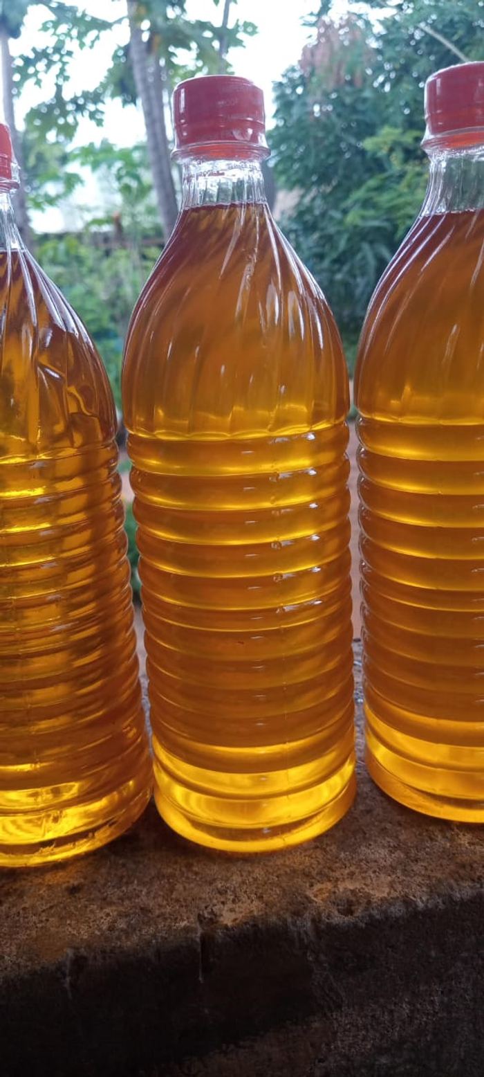 Bottles of pressed plant oil