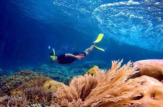 Pemandangan bawah laut di Kemujan