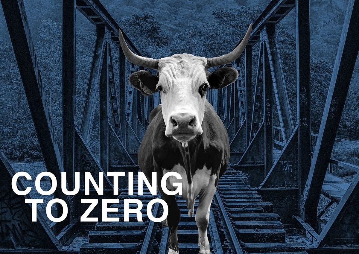 COUNTING TO ZERO | International Performing Rights