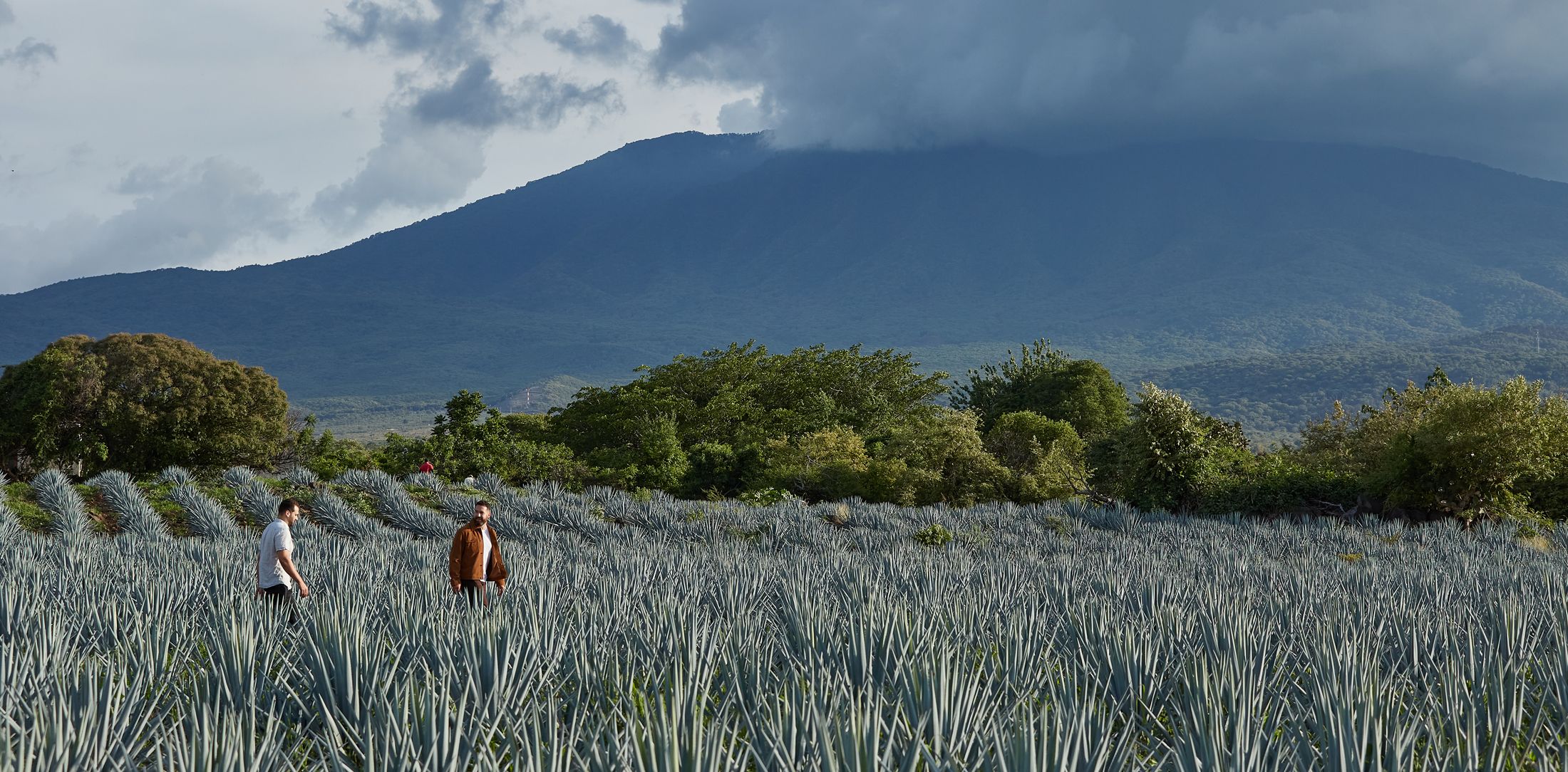 Matt and Ryan in a field