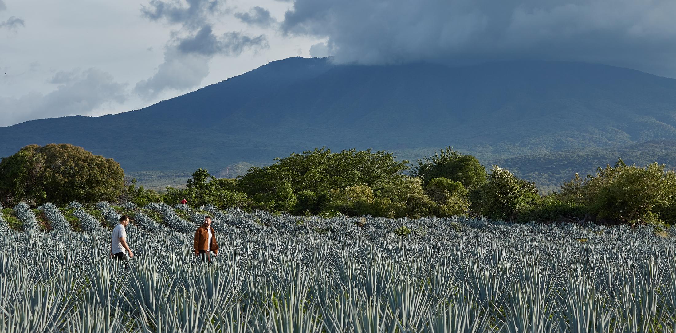 Matt and Ryan in a field