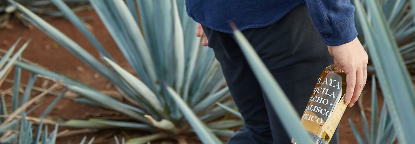 Celaya Tequila Journal Post