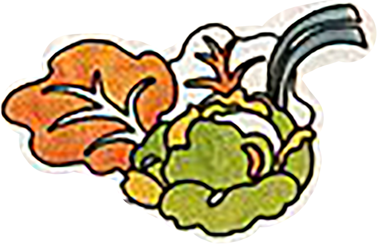 Check Our Food Menu!