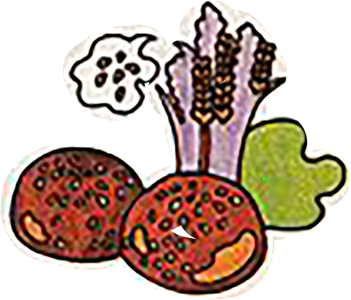 YPB Origins!