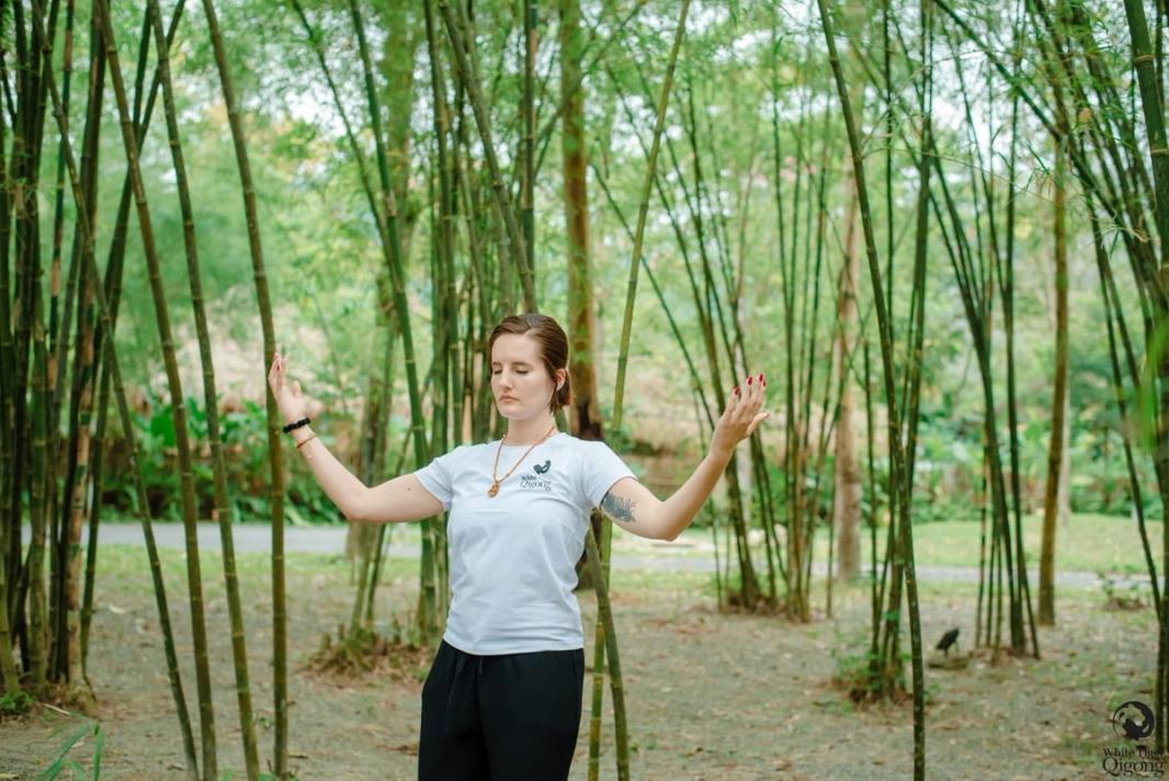 A Anica a praticar qigong num bambuzal