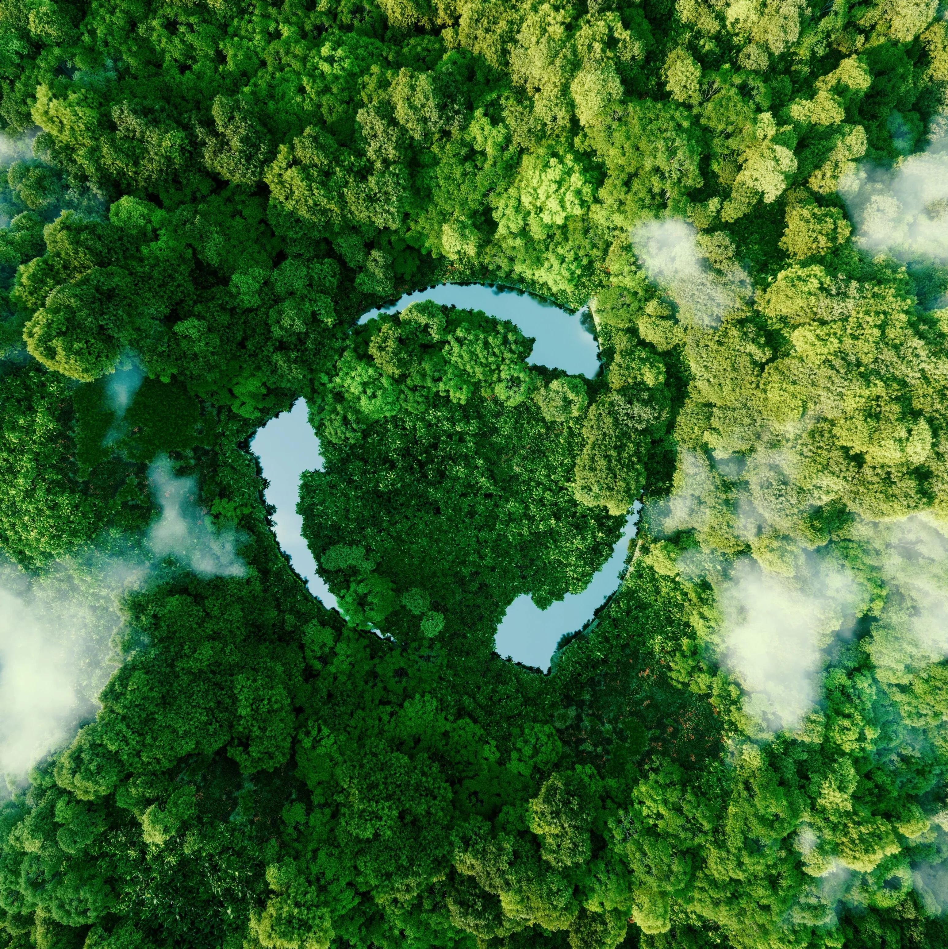 The tech transition to net zero