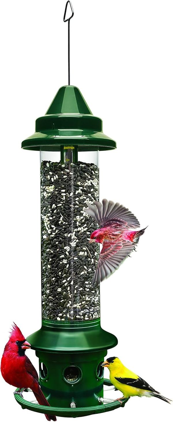 Squirrel Buster Plus Squirrel-Proof Bird Feeder
