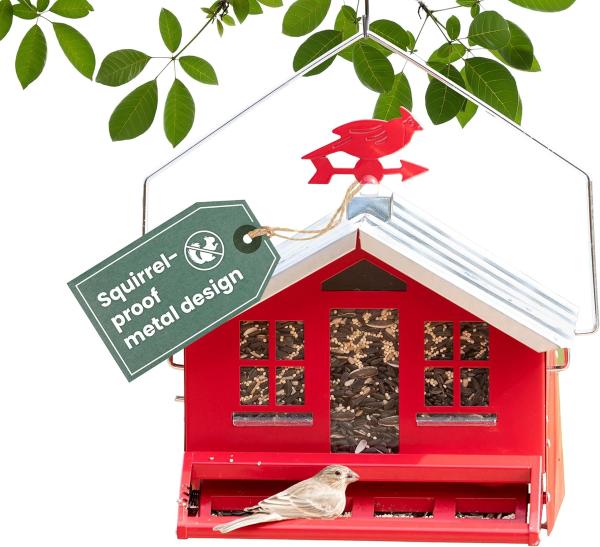 Perky-Pet Squirrel-Be-Gone II Bird Feeder