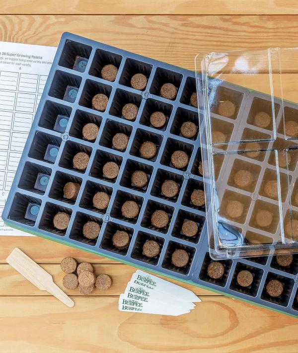 Burpee 72-Cell Seed Starting Kit with Greenhouse Dome