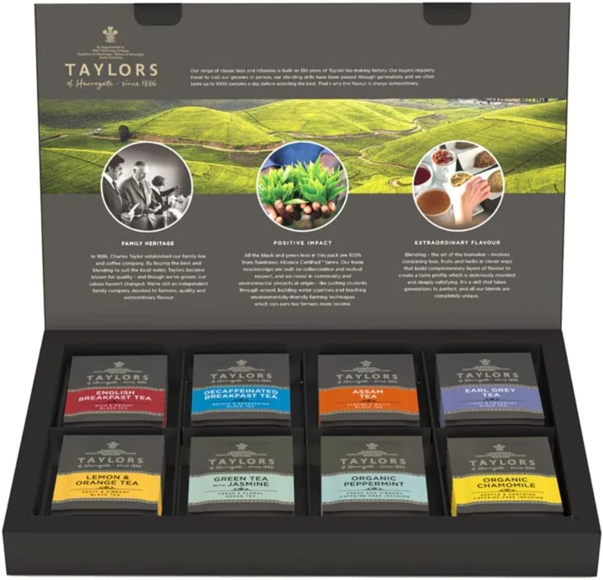 Taylors of Harrogate Assorted Tea Sampler Gift Box, 48ct